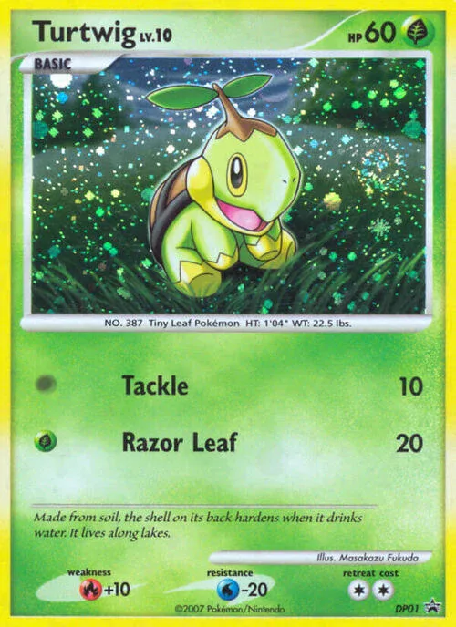 Turtwig Lv.10