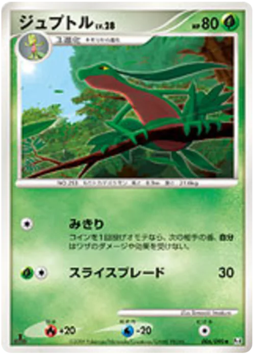 Grovyle Lv.28