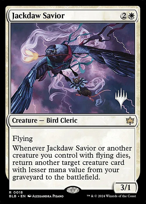 Jackdaw Savior