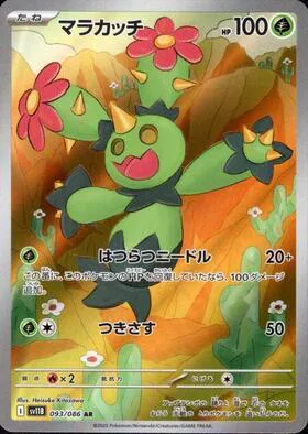 Maractus