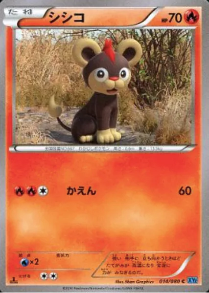 Litleo