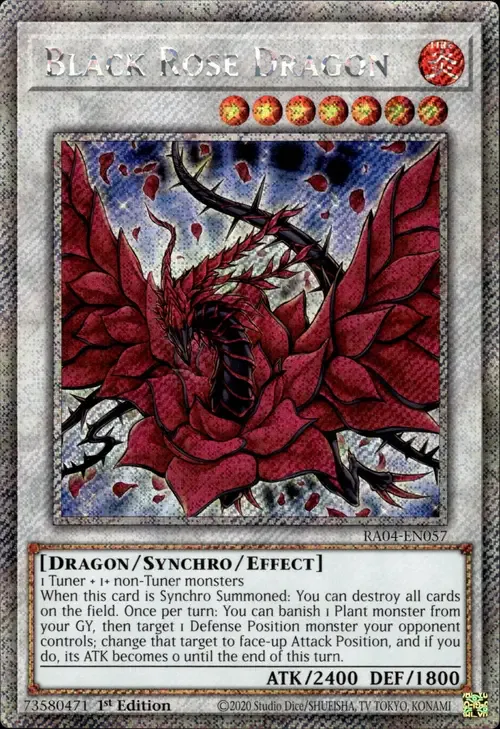 Black Rose Dragon