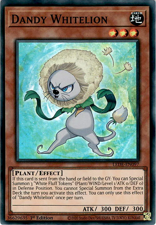 Dandy Whitelion
