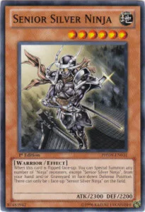 Senior Silver Ninja