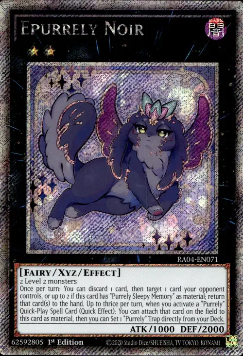 Epurrely Noir