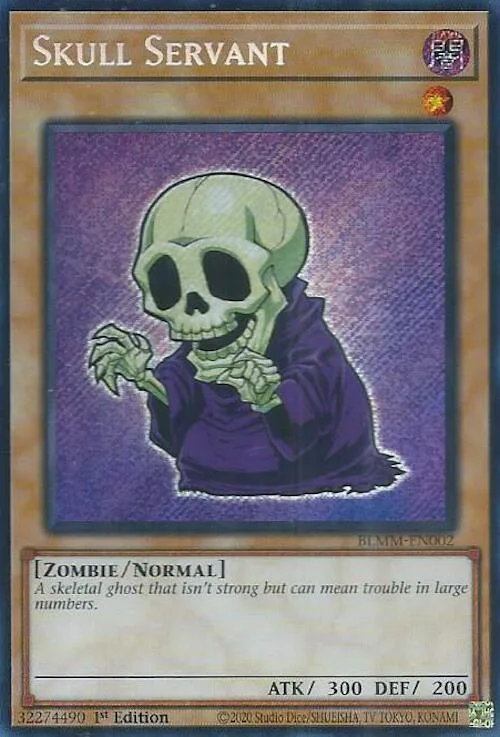Skull Servant