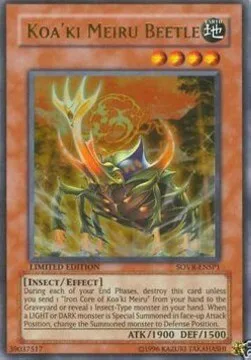 Koa'ki Meiru Beetle