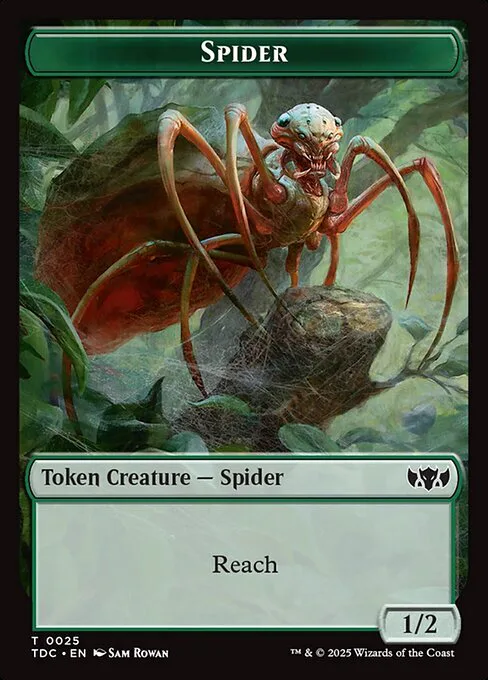 Spider // Bird