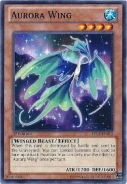Aurora Wing