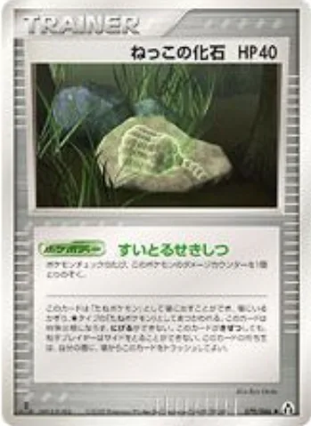 Root Fossil