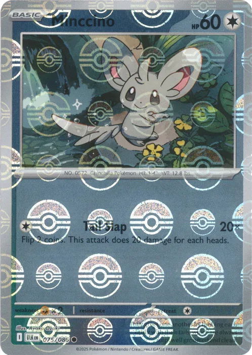 Minccino
