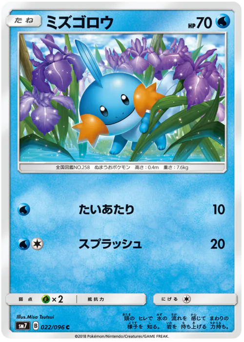 Mudkip