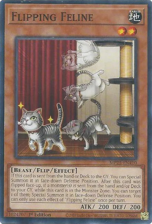 Flipping Feline