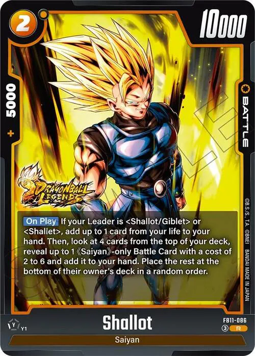 Shallot