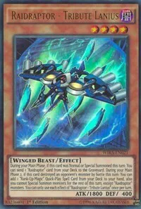 Raidraptor - Tribute Lanius
