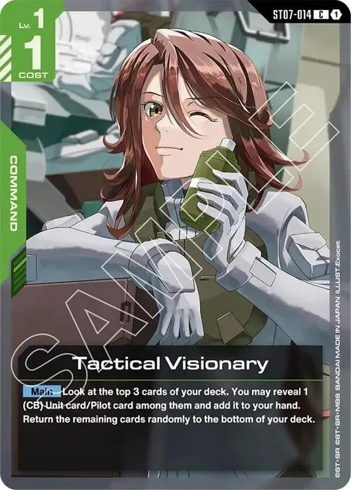 Tactical Visionary