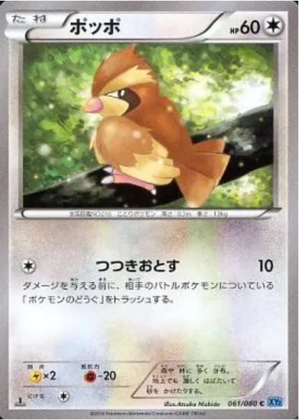 Pidgey