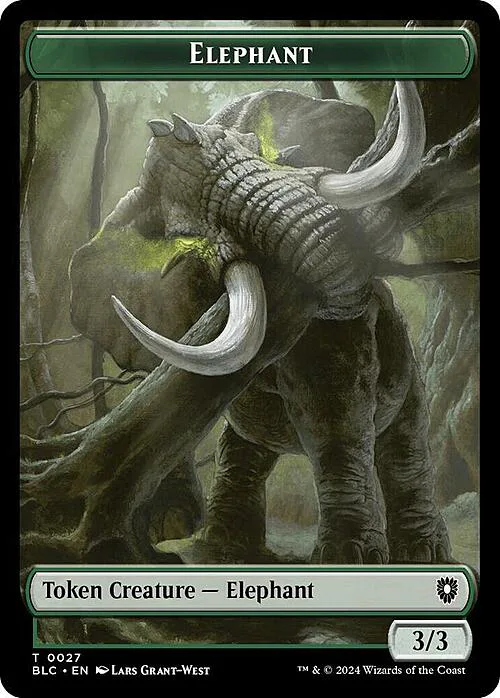 Elephant // Squid