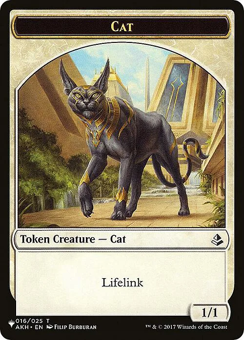 Cat // Dog