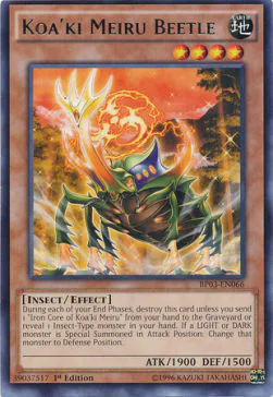 Koa'ki Meiru Beetle