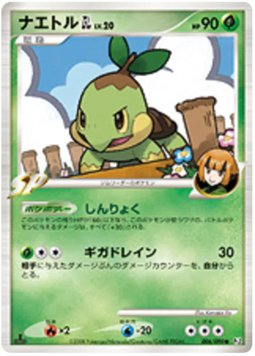 Turtwig GL Lv.20