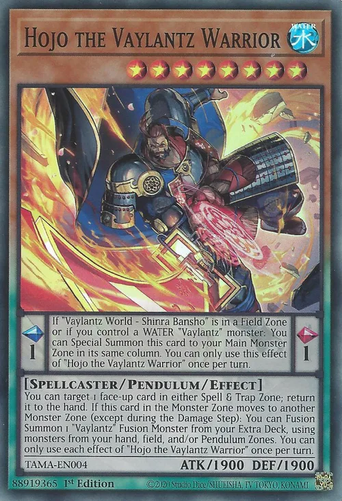 Hojo the Vaylantz Warrior
