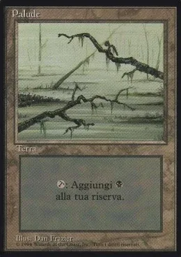 Swamp