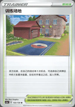 Training Court