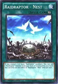 Raidraptor - Nest