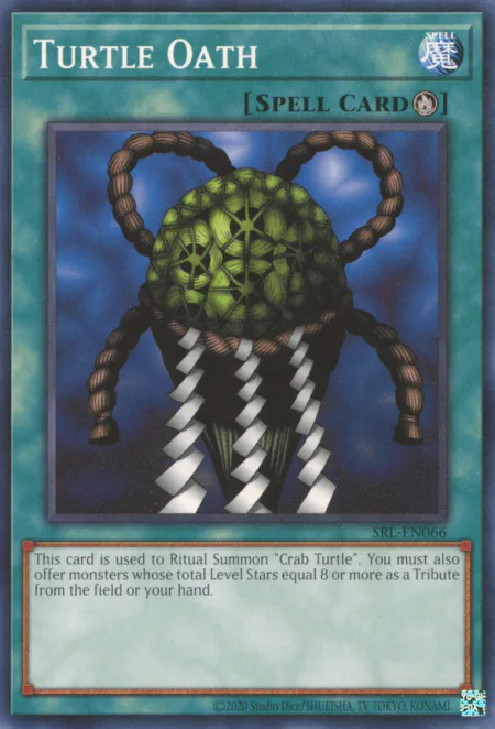 Turtle Oath