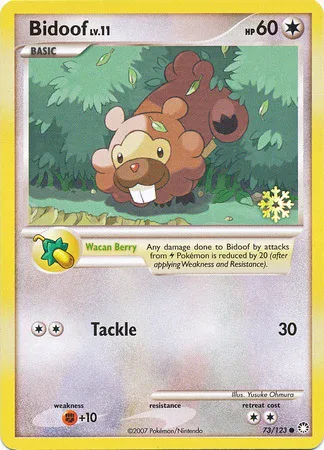 Bidoof Lv.11