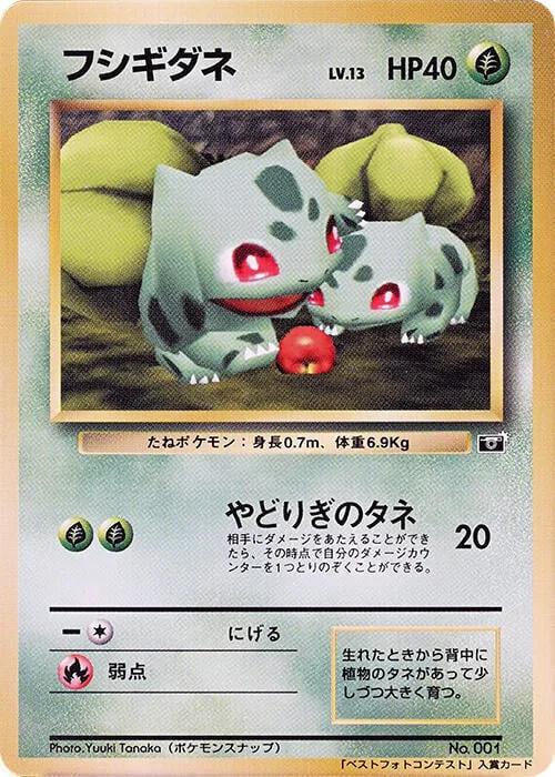 Bulbasaur Lv.13