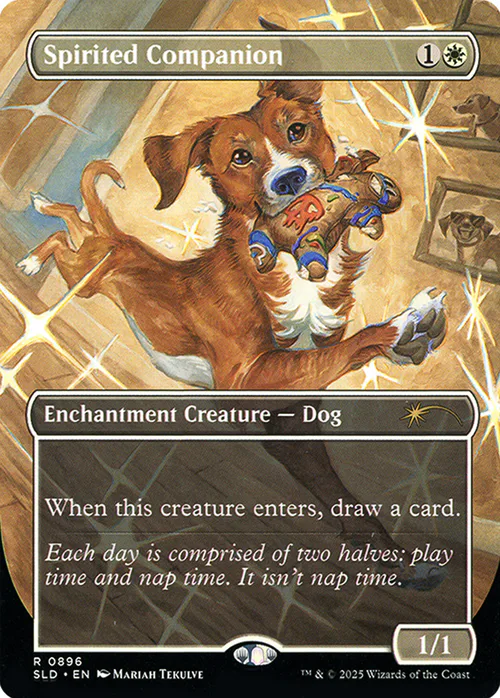 Spirited Companion