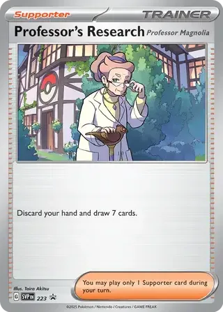 Professor's Research