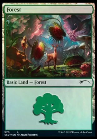 Forest
