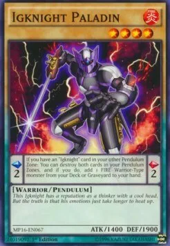 Igknight Paladin