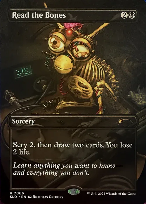 Read The Bones
