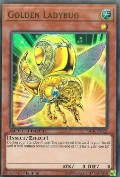 Golden Ladybug