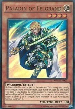 Paladin of Felgrand