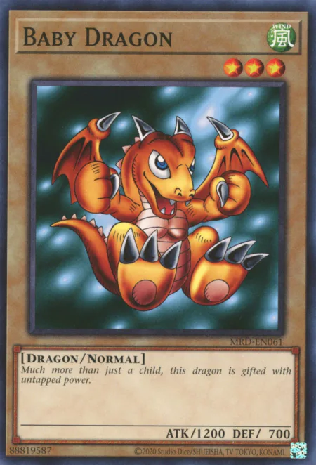 Baby Dragon