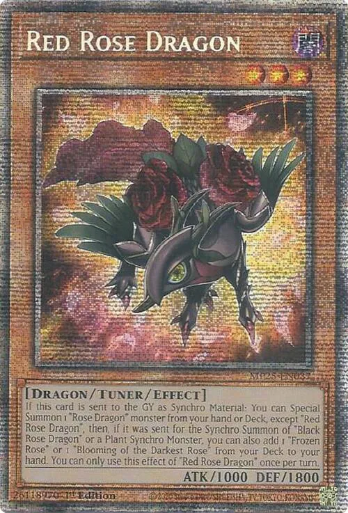 Red Rose Dragon