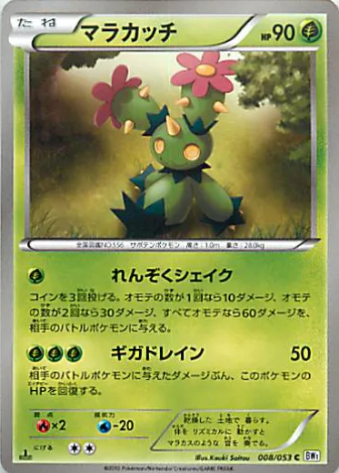 Maractus