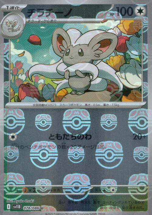 Cinccino
