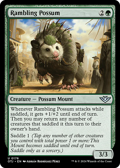 Rambling Possum