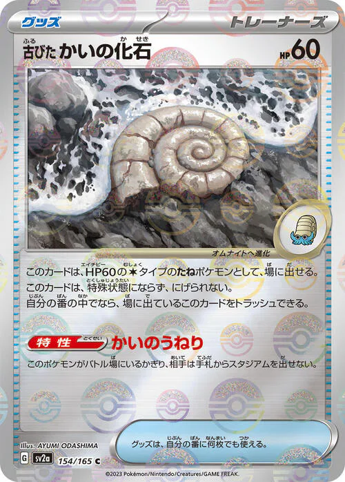 Antique Helix Fossil