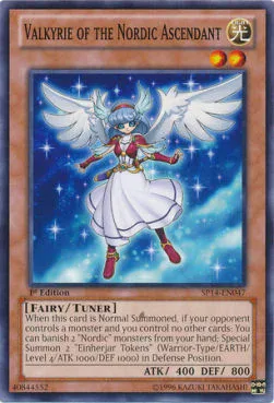 Valkyrie of the Nordic Ascendant