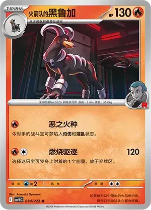 Team Rocket's Houndoom