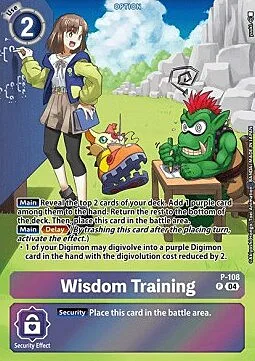 Wisdom Training