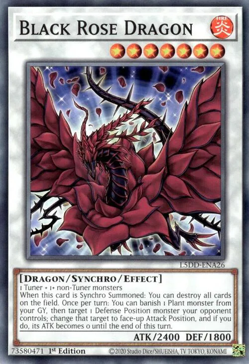 Black Rose Dragon