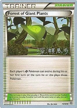 Forest of Giant Plants